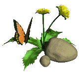 1-yellow-flowers-butterfly.gif
